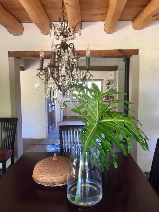Villa Spacious And In Noordhoek